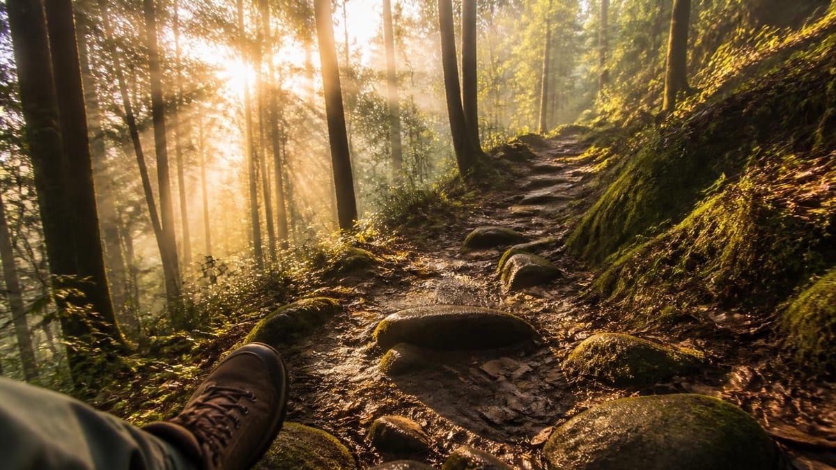 La marche déclenche une cascade biologique entre muscles et cerveau qui régule le stress et répare les connexions neu